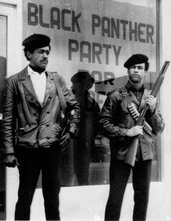 PartidoPanteraNegra.jpg