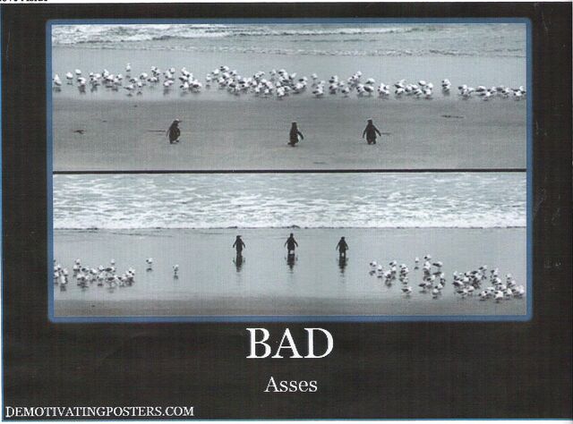 File:BAD.jpeg
