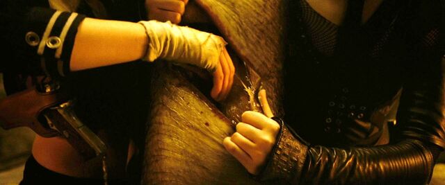 File:Babydragon6.jpg
