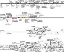 Timeline