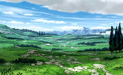 Citro Plain