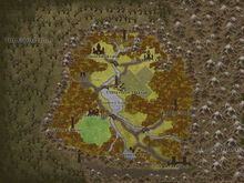 Dawning Glade