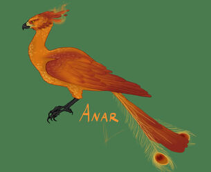 Anar