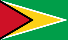 500px-Flag of Guyana.svg