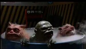Ghoulies 2 Autumn Sayz