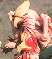 Char 59812