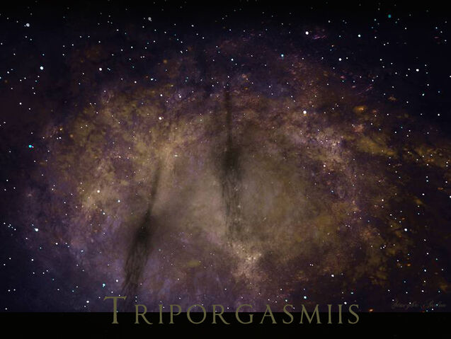 File:Planetarium Triporgasmiis-Expanse.jpg