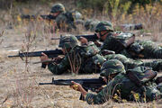 800px-Turkish Army 2