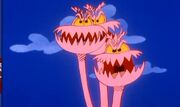 Venusflytrap