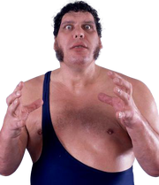 Andre