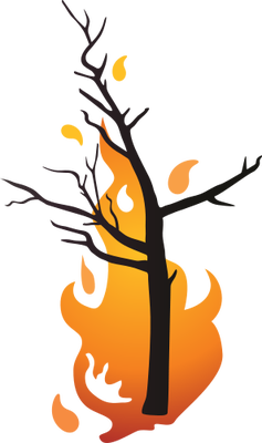 File:Forest Fire.png