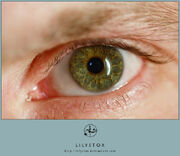 Eye 1 by LilyStox