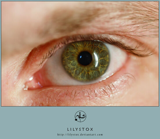 File:Eye 1 by LilyStox.jpg