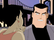 Bruce Wayne (Mystery of the Batwoman)