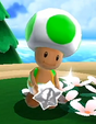 Toad custode.png