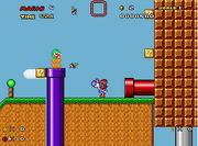 Purple yoshi