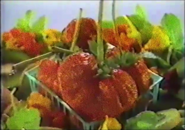 File:Pilot-1989-027.png