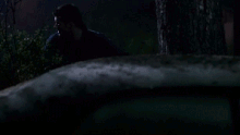 DBD1.gif