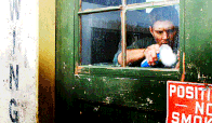 Salt-1.gif
