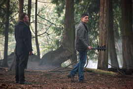 Supernatural-The-Werther-Project-Season-10-Episode-19-16.jpg