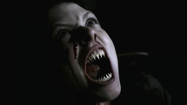 Arquivo:Vamp2.jpg
