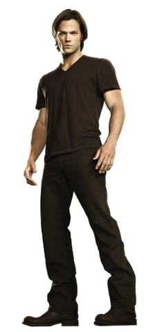 Fichier:Sam.png