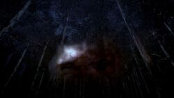 Spn0819-1115