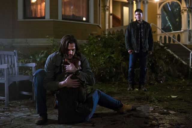 Fichier:Spn 10.11.jpg