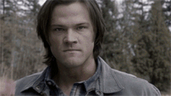 Cas-0.gif