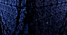 TheCage.gif
