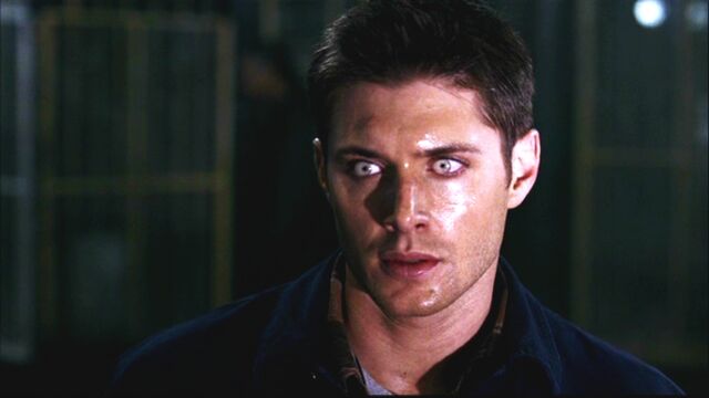 Fichier:Spn106 177.jpg