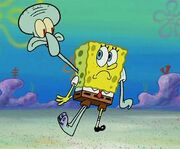 Squidbob