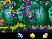 01 TheDreamForest 02