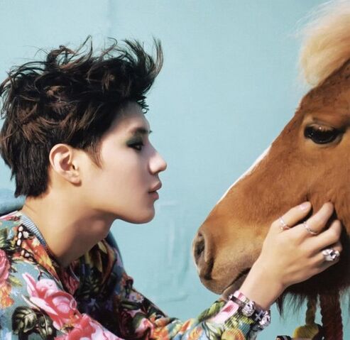 File:Taemin Dream Girl.jpg