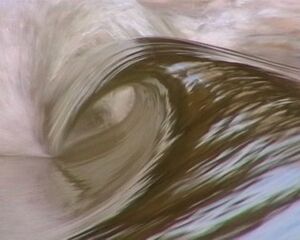 Liquid-time-2