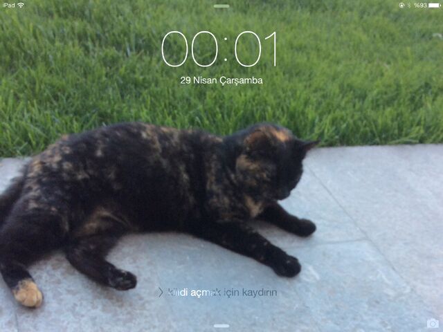 File:Cutie.jpg