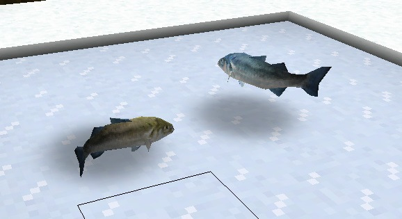 File:Bass1.jpg