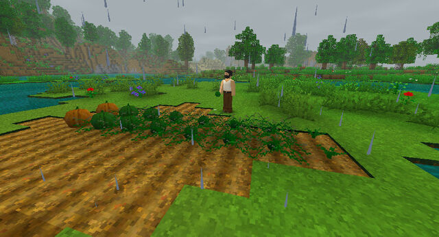 File:Pumpkinfarming.jpg