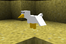 Seagull