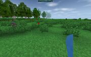 Survivalcraft 2014-01-20 19-21-58-