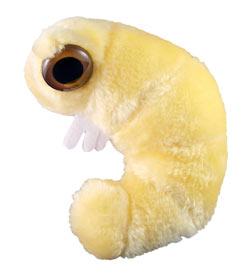 File:Giant Microbes! Bookworm.jpg