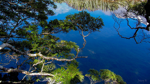 File:Just Like a Mirror.jpg
