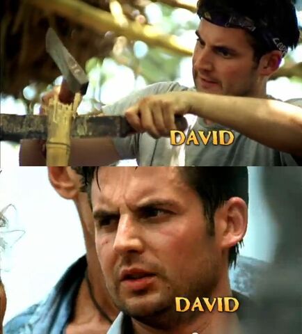 File:David intro.jpg