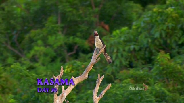 File:Survivor.s27e12.hdtv.x264-2hd 047.jpg