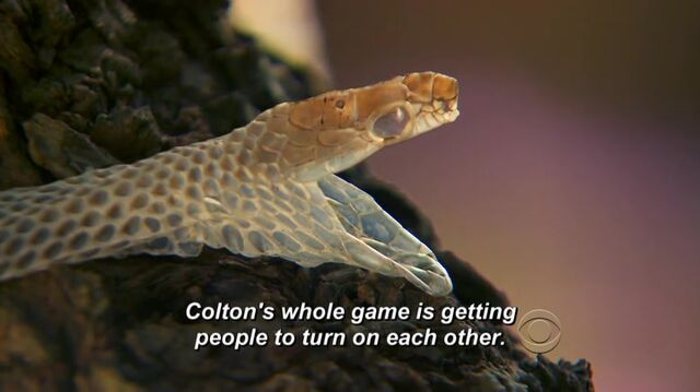 File:Survivor.S27E02.HDTV.x264-LMAO 290.jpg