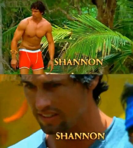 File:Shannon intro.jpg