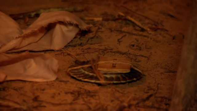 File:Screenshot (2793).png