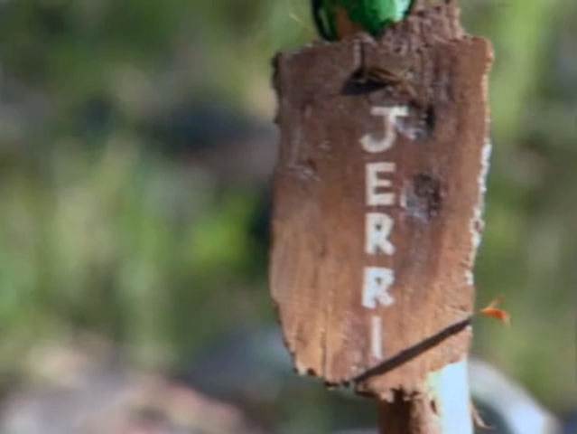 File:Jerri torch.png