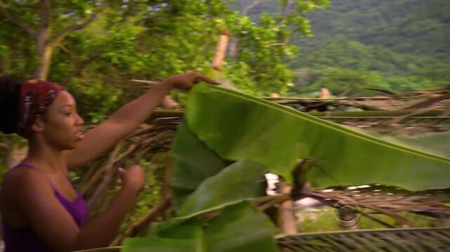 File:Survivor.s27e01.hdtv.x264-2hd 0849.jpg