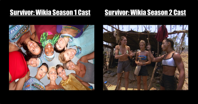 File:Survivorwikia.png